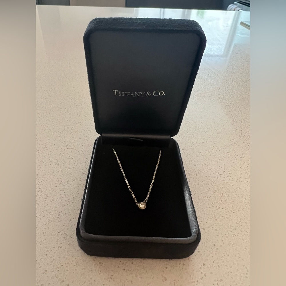 Tiffany Elsa Peretti Single Diamond Pendant in Silver